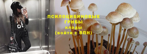 стаф Арсеньев