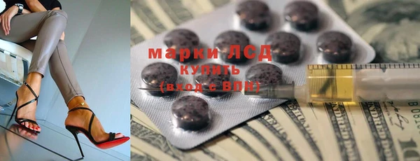 стаф Арсеньев