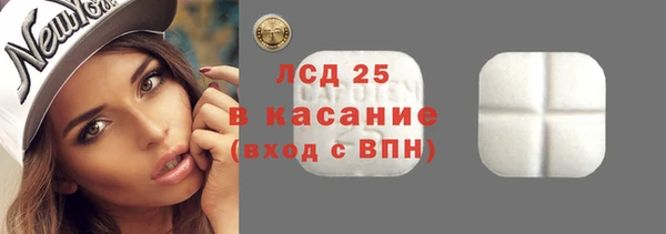 стаф Арсеньев