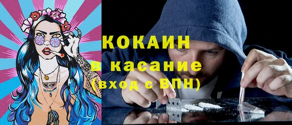 индика Аркадак