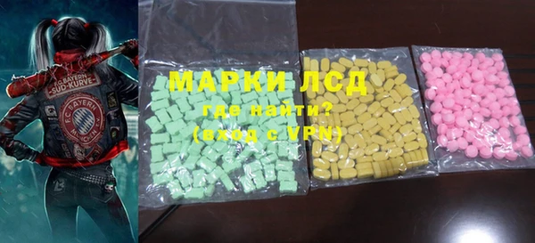 индика Аркадак