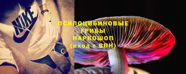 дурь Семёнов