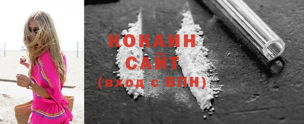 индика Аркадак