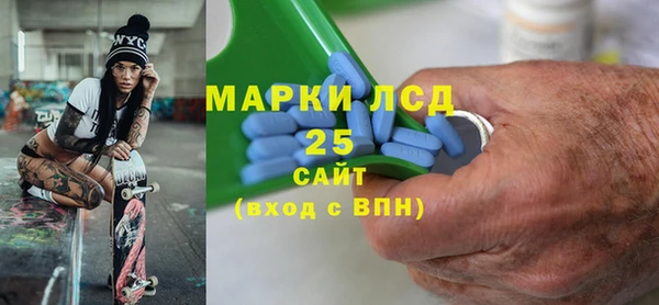 индика Аркадак