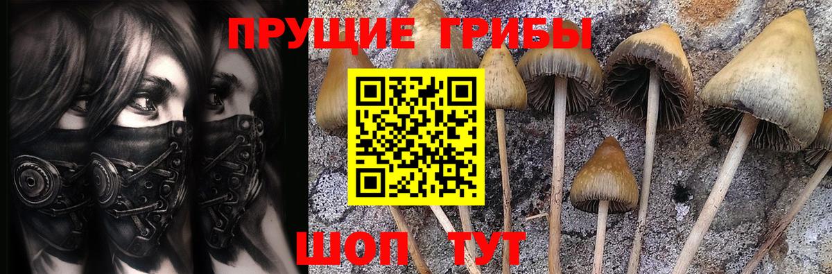 Галлюциногенные грибы Psilocybe Лобня