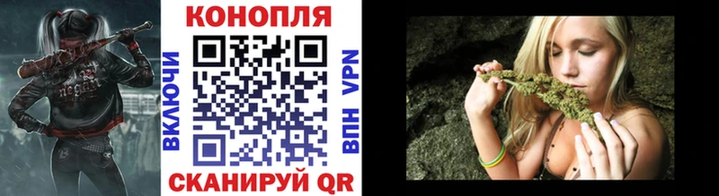купить цена нарко площадка какой сайт Бошки марихуана ГИДРОПОН Лобня hydra онион